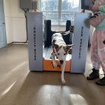 Champ Healing Center 010424b